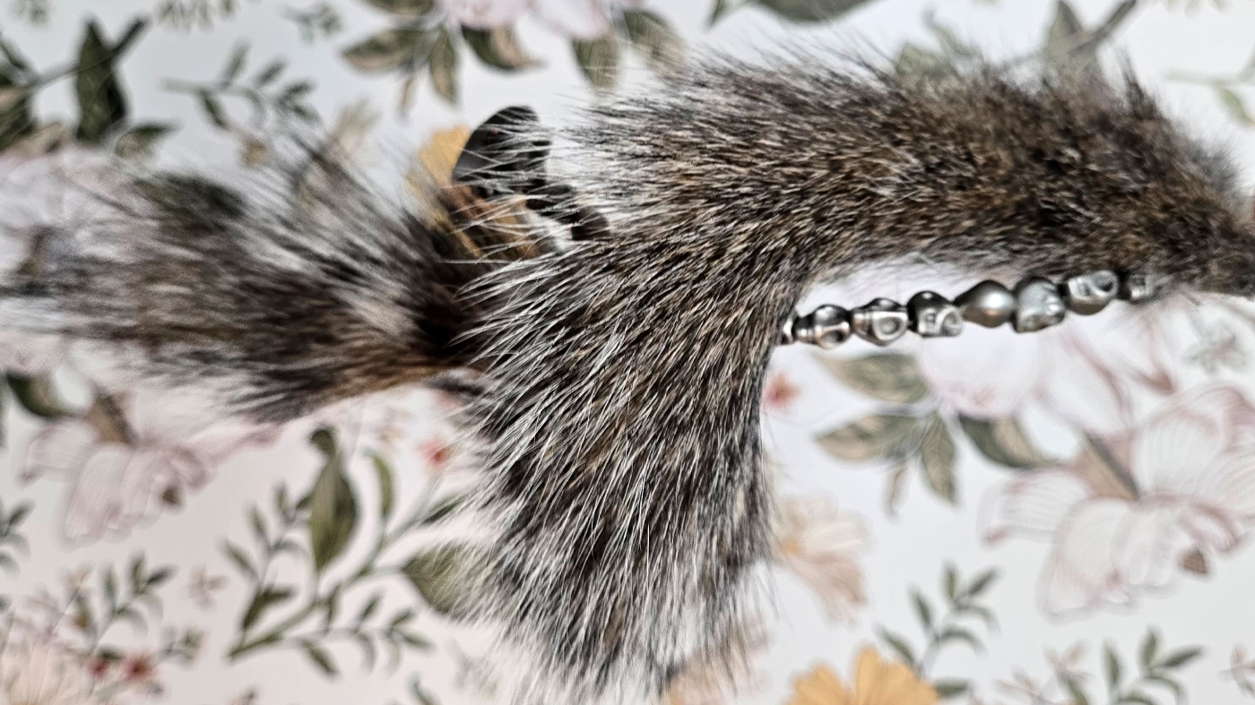 Learning Nature Squirrel Tail 
