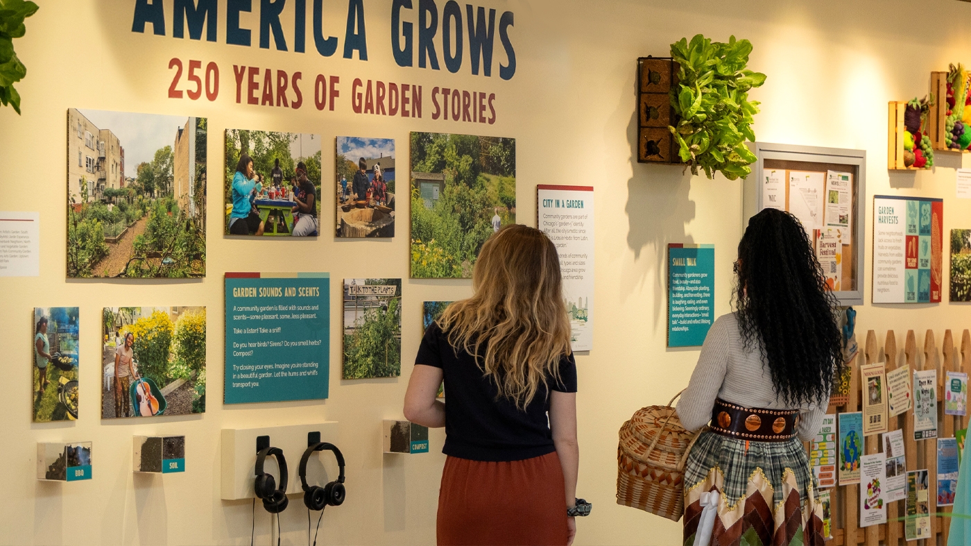 America Grows