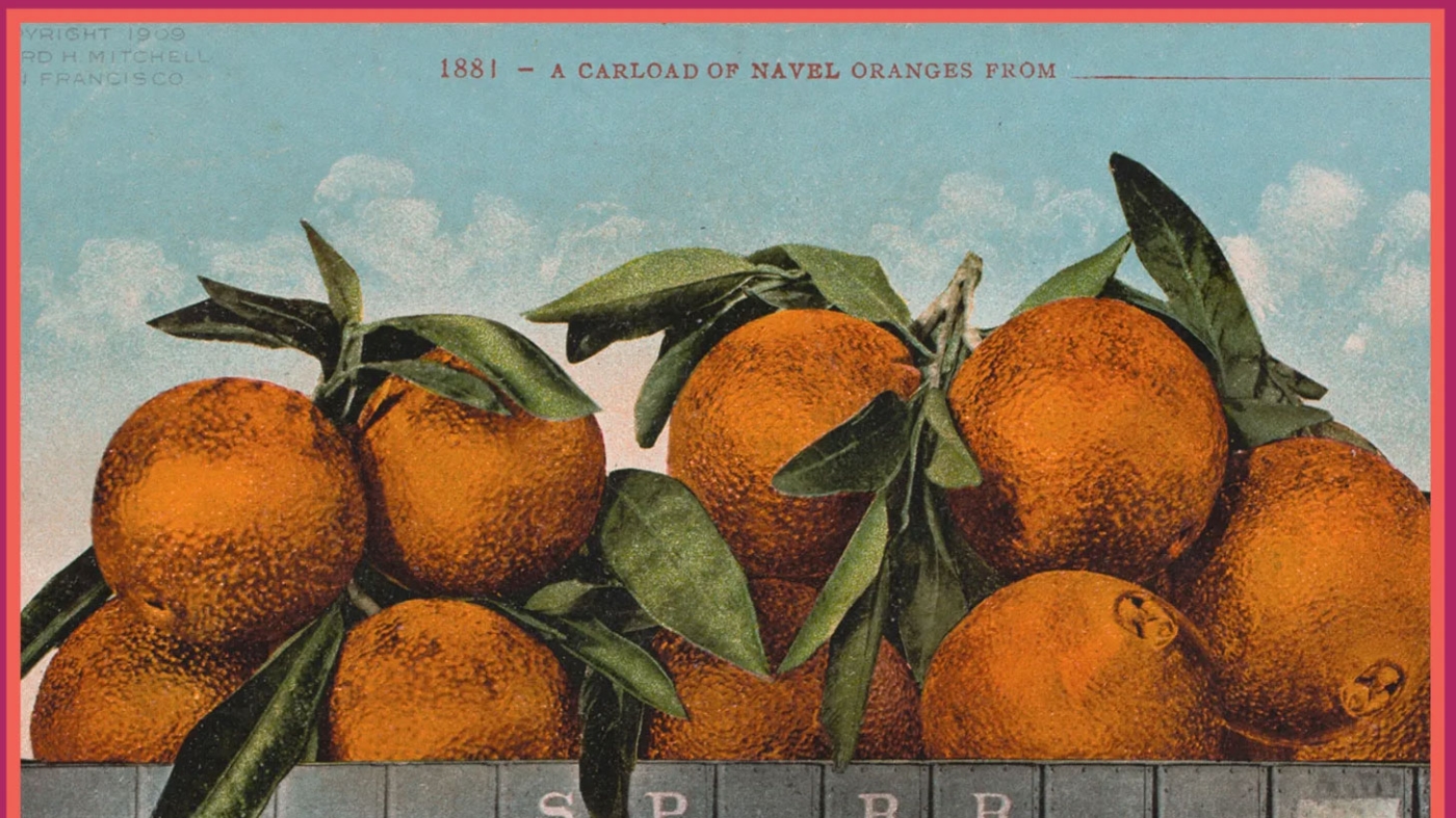 peach newberry