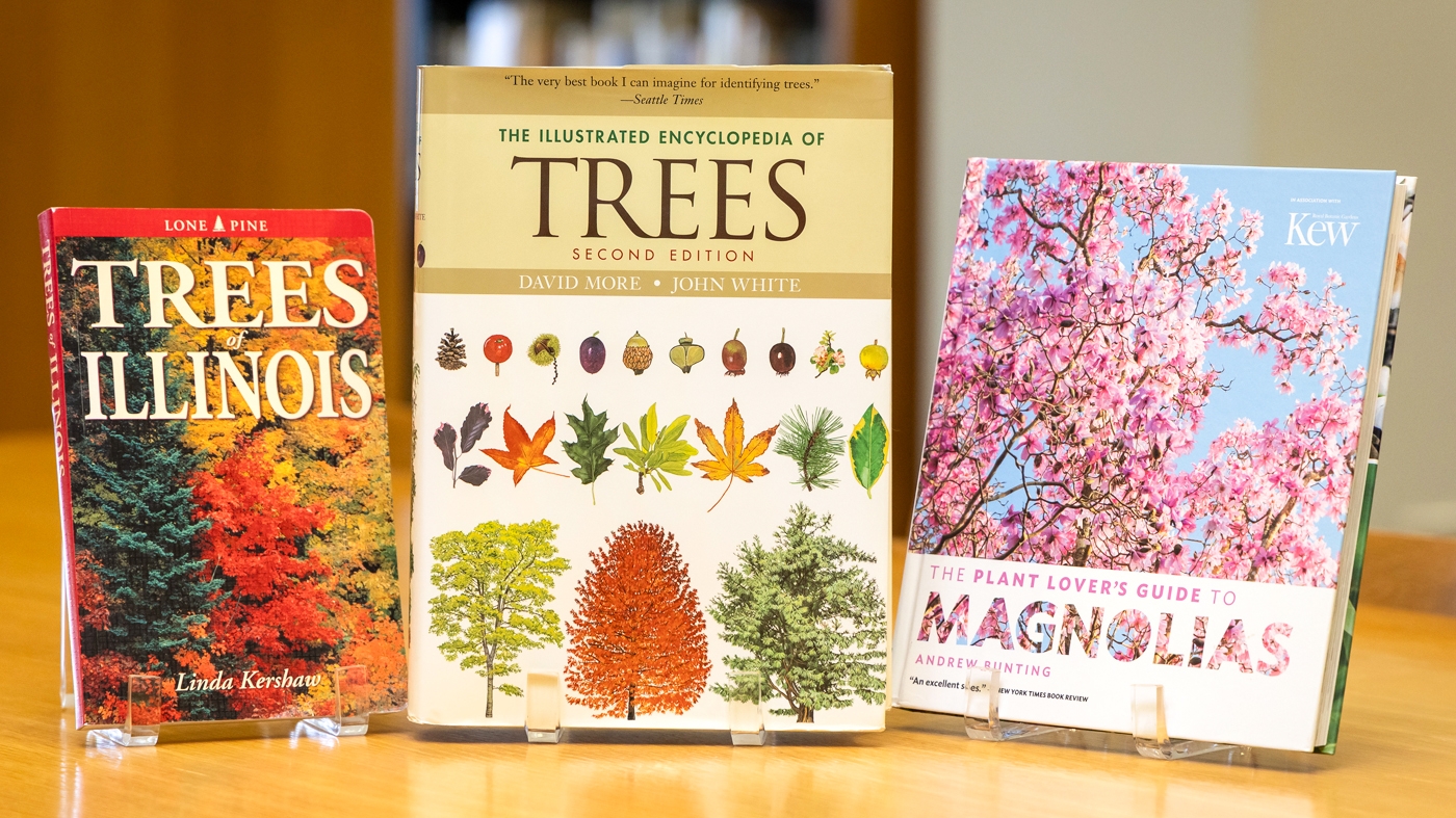 Library used books