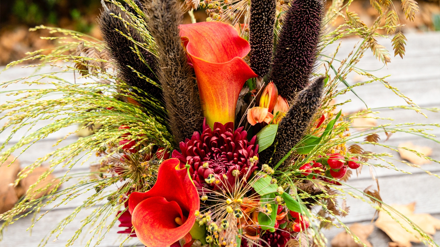 Learning Botanical Arts