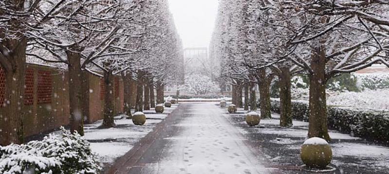 Winter At The Garden Chicago Botanic Garden