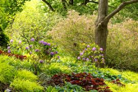 Chicago Botanic Garden Master Gardener Program