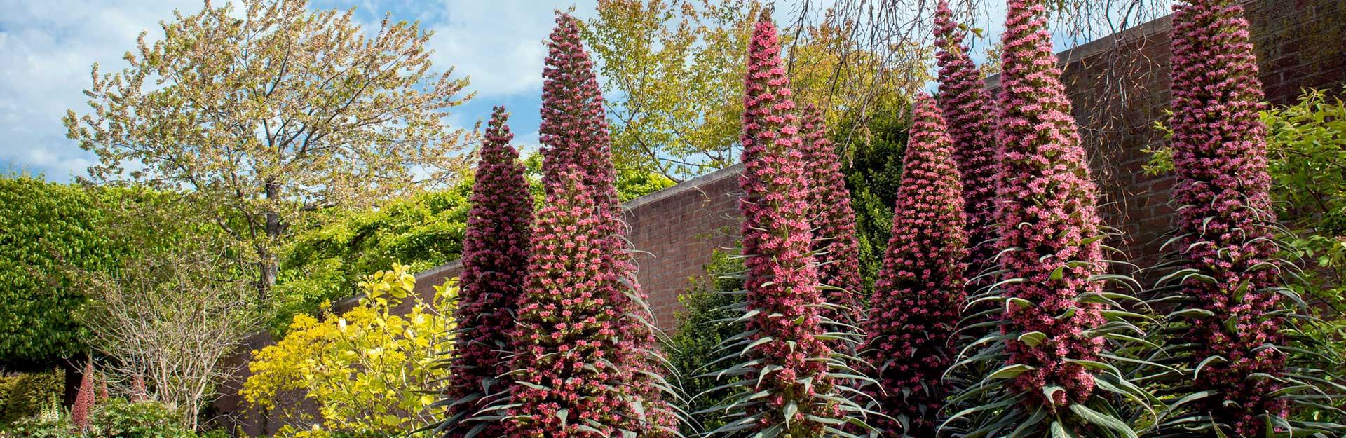 Chicago Botanic Garden Gift Card / Things To Do In Wheeling The Westin Chicago North Shore - Can ...