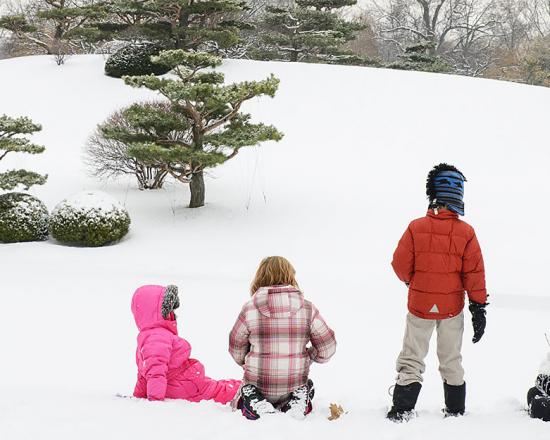 Break Camp Chicago Botanic Garden
