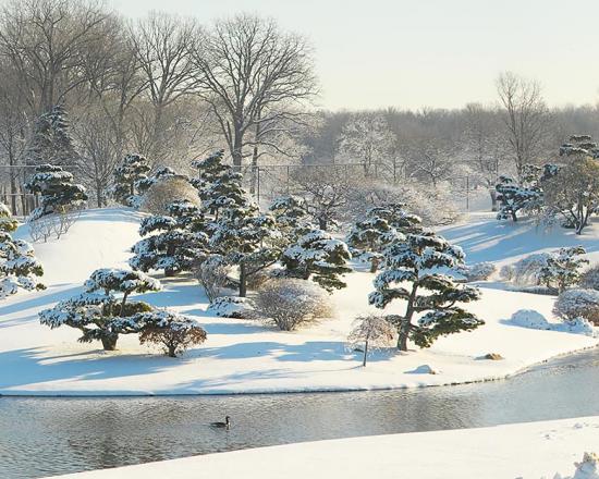 Reflections On The Island Beyond Your Reach Chicago Botanic Garden