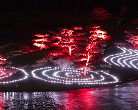 Lightscape At Chicago Botanic Garden Enjoy Illinois
