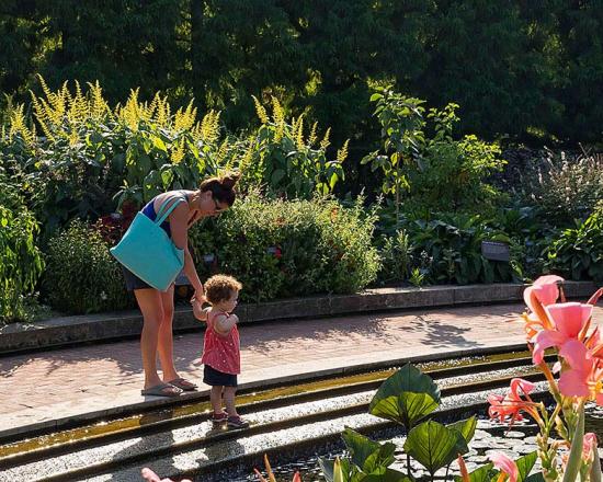 Member Travel Chicago Botanic Garden