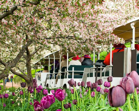 Garden Tours Trams Chicago Botanic Garden