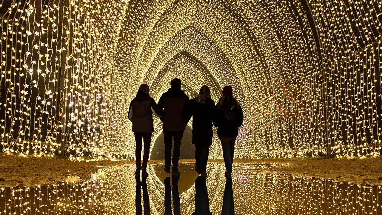 lightscape