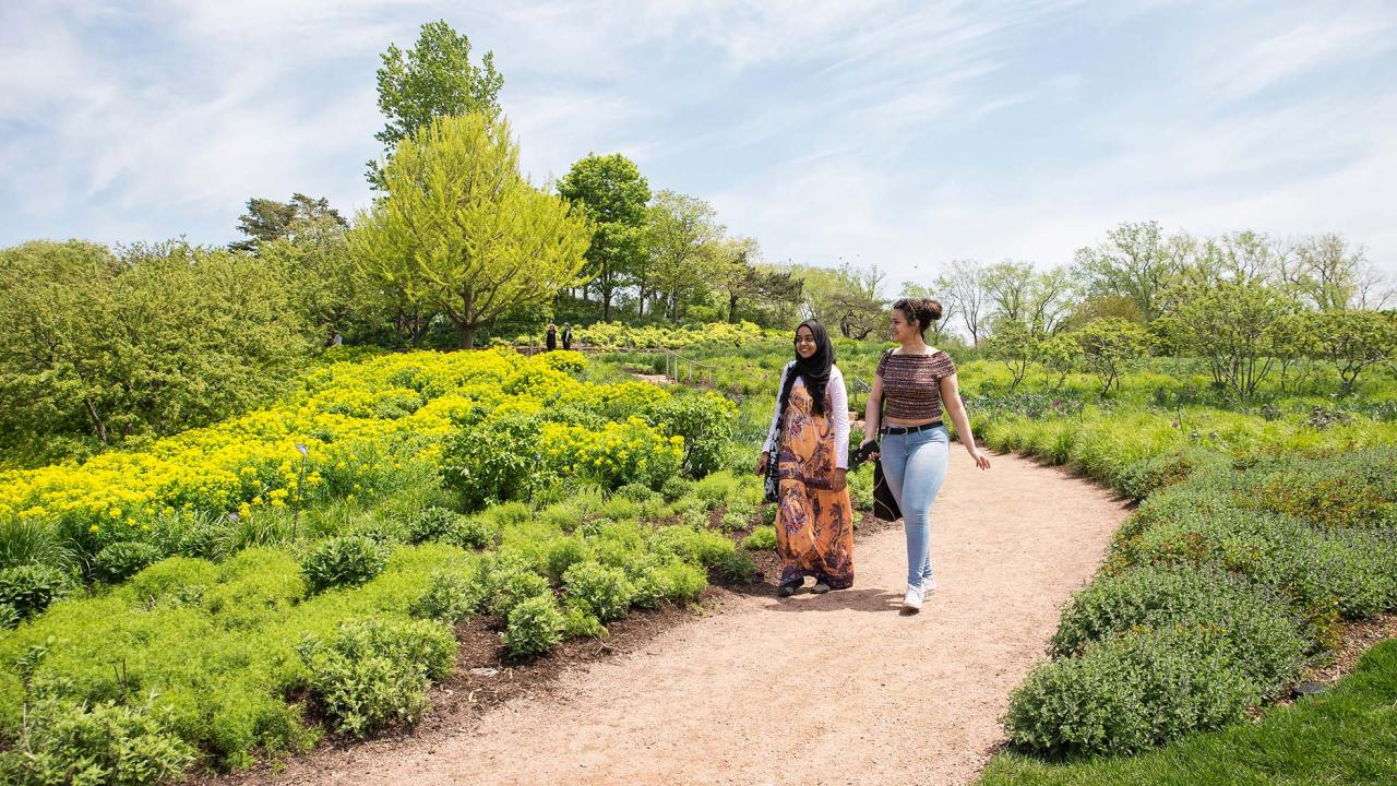 walks at the Garden