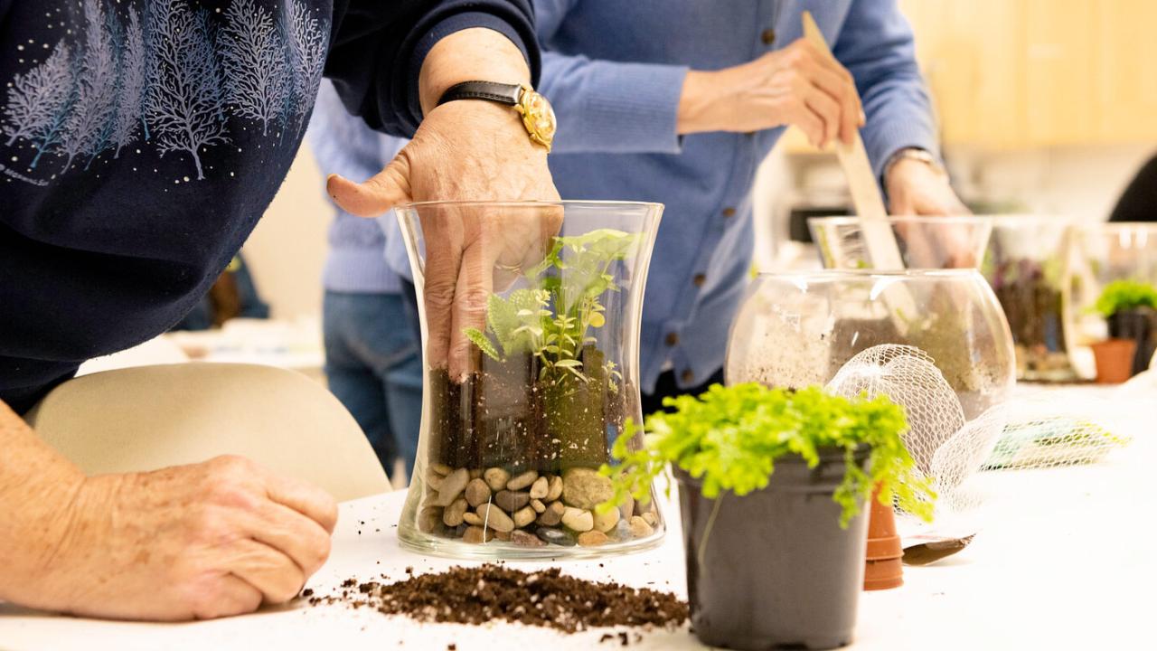 Horticulture Classes