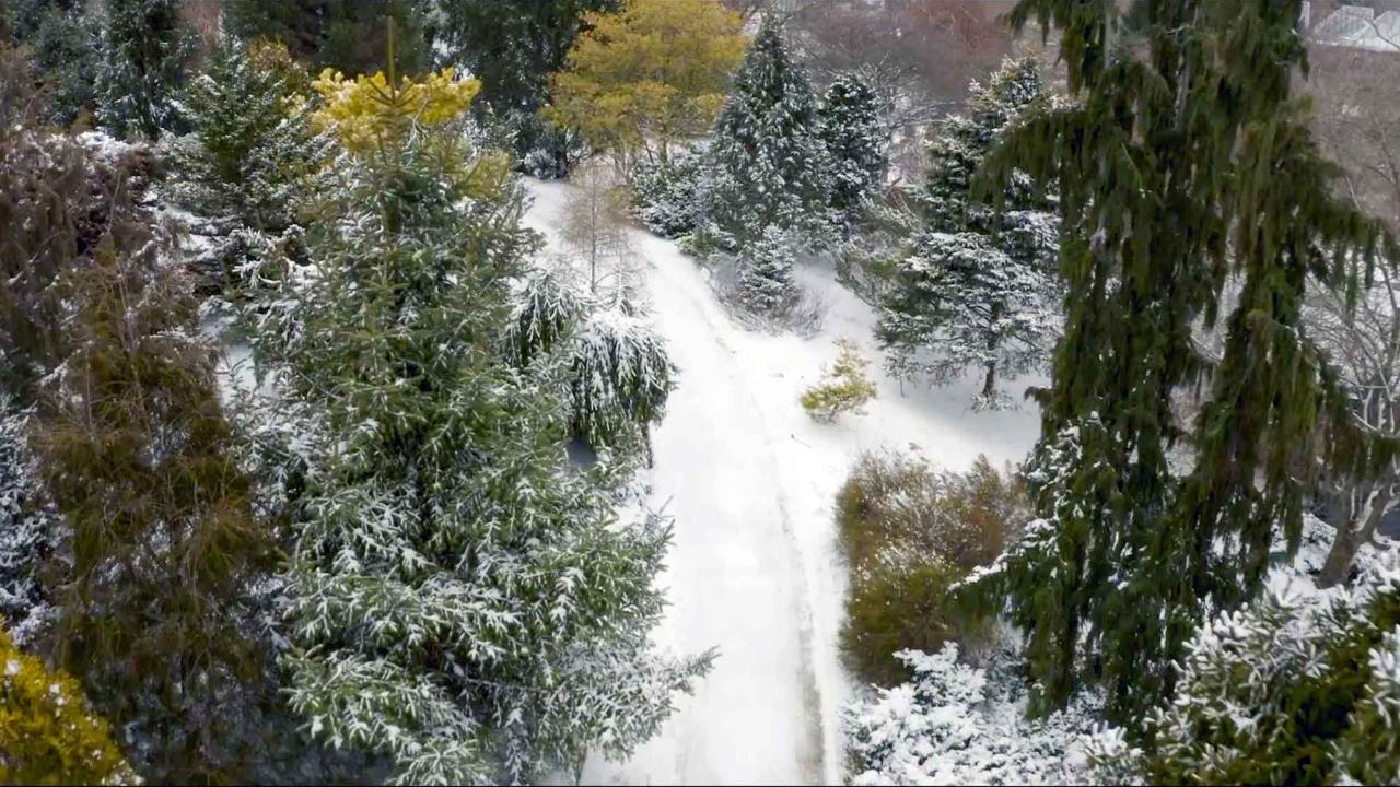winter