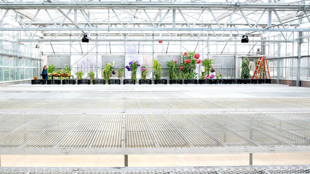 Employment at the Garden