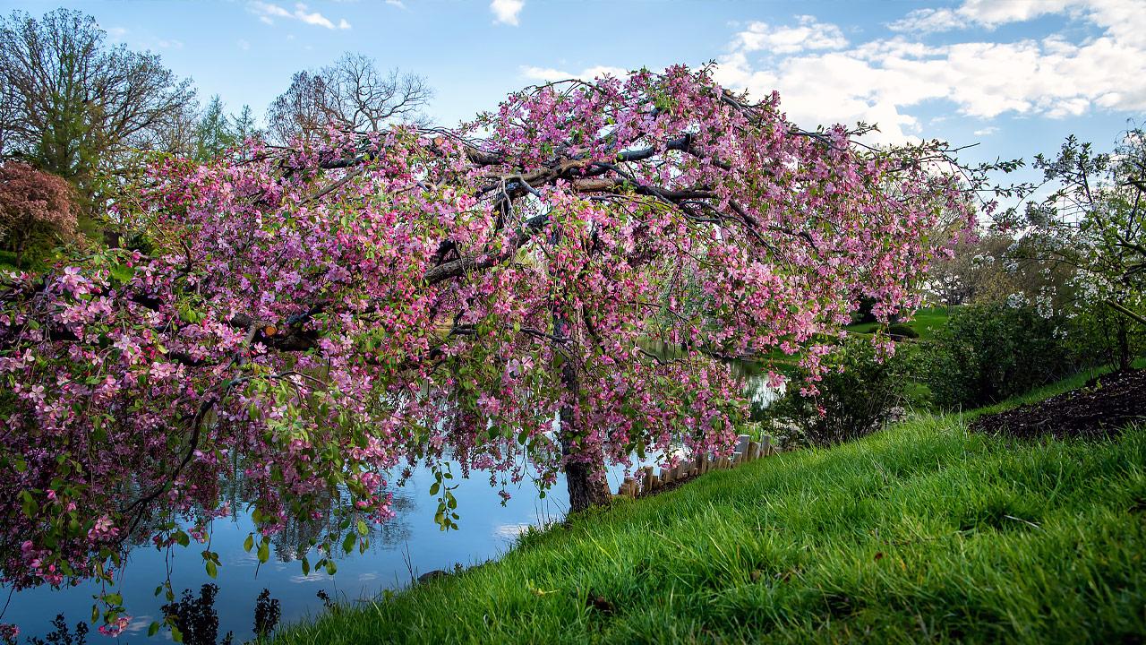 Gardens & Natural Areas