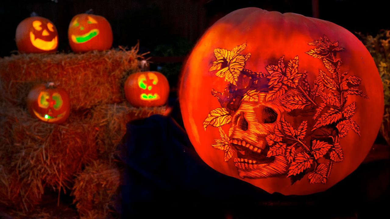 Night of 1,000 Jack O' Lanterns