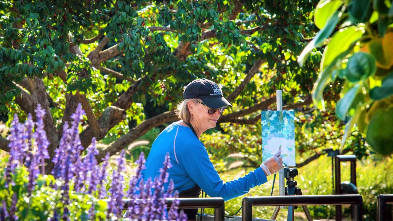 Botanical Arts  Chicago Botanic Garden