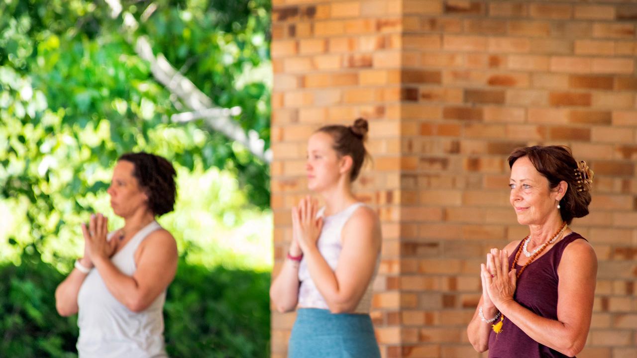 Yoga Flow Beginner  Chicago Botanic Garden