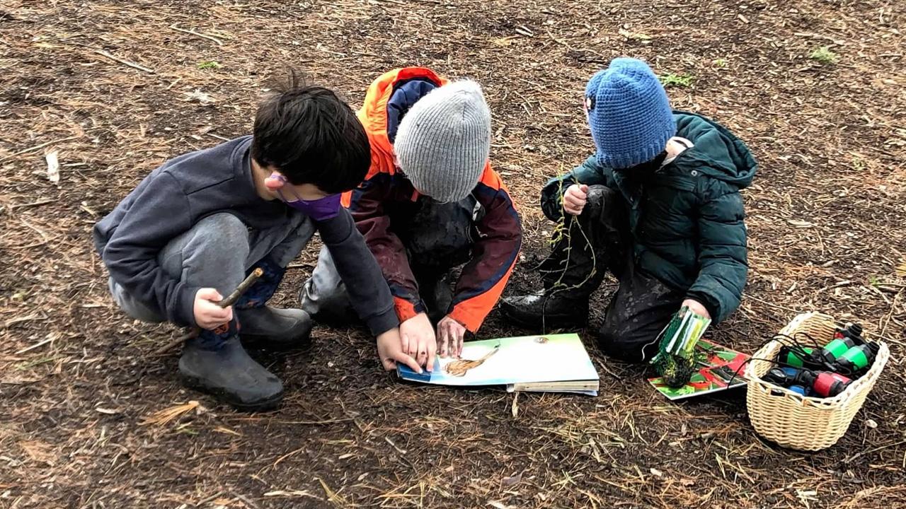 Nature Preschool