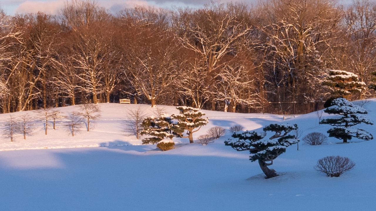 Holiday at the garden