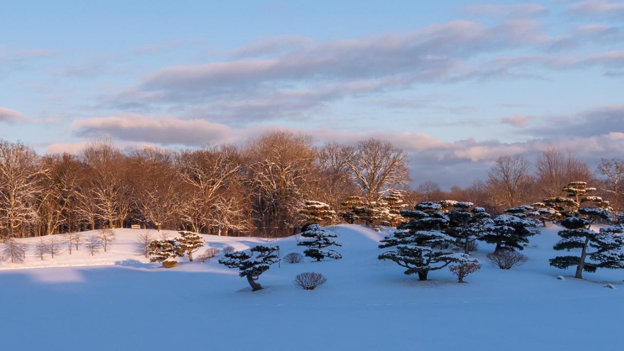 Holiday at the garden