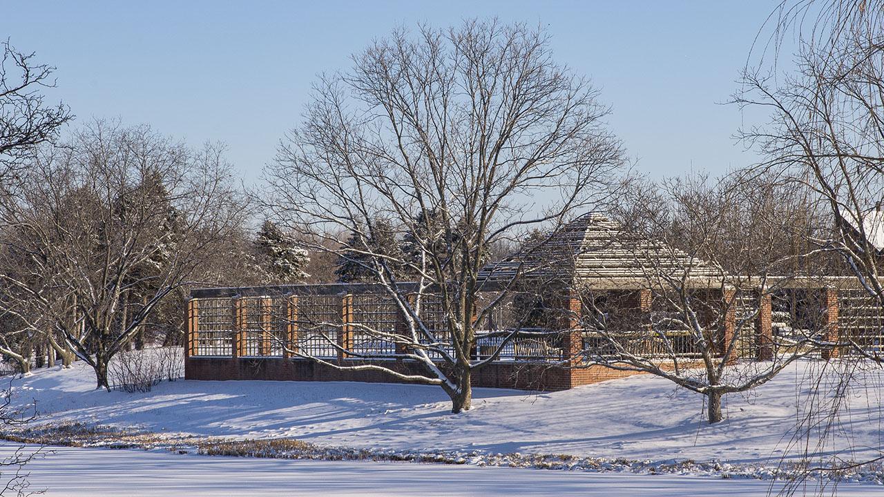 Fruit & Vegetable Garden in winter