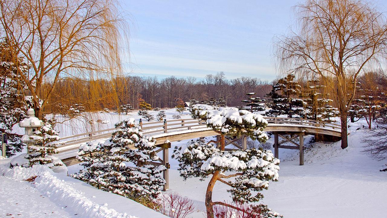 Japanese Garden in winter