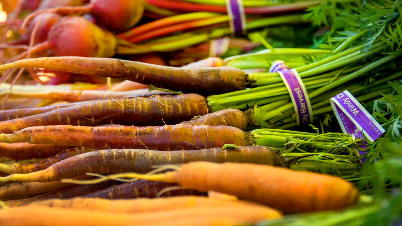VeggieRX