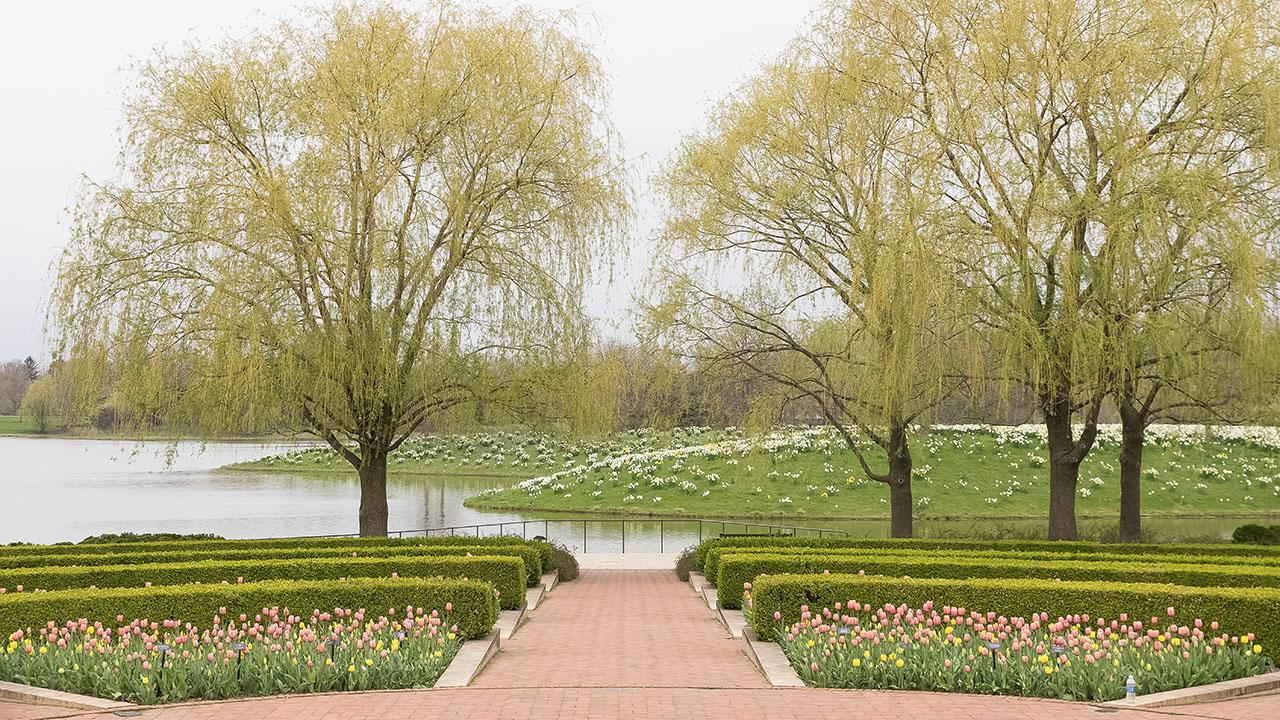 Crescent Garden in spring