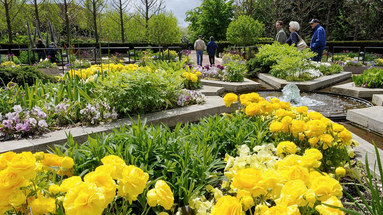 Heritage Garden in spring