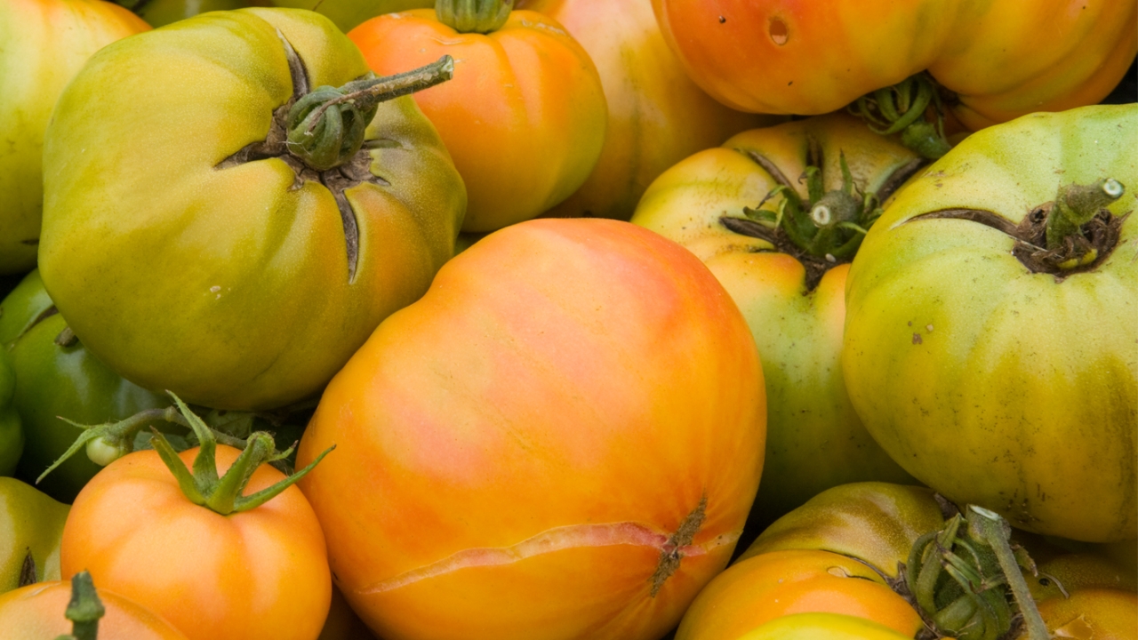 Heirloom Tomatoes