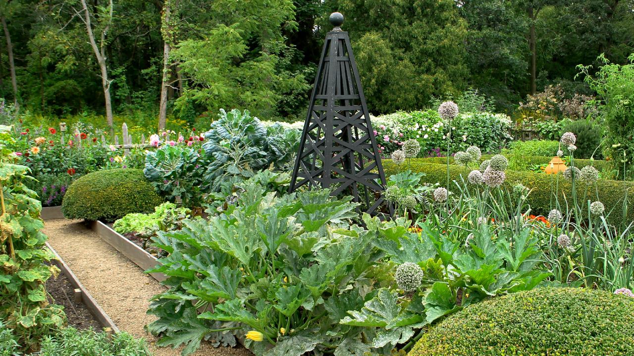 Garden Design Classes at the Garden