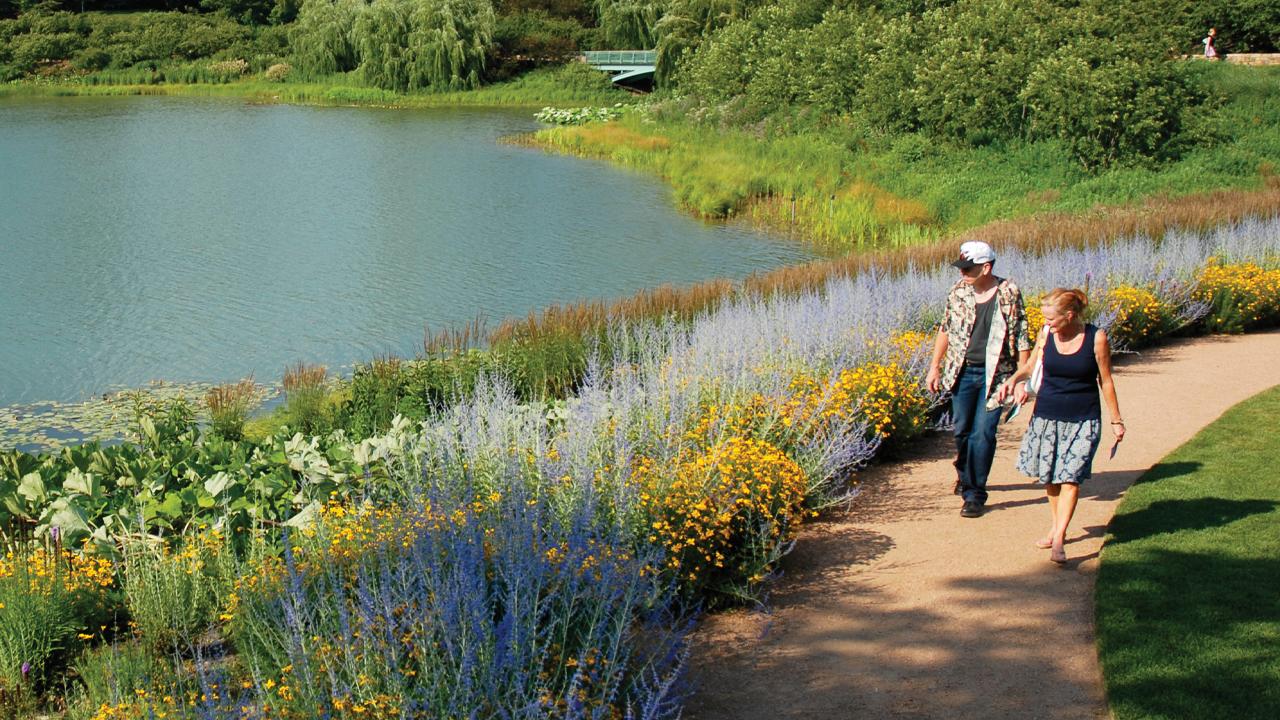 A Walk along the Water's Edge