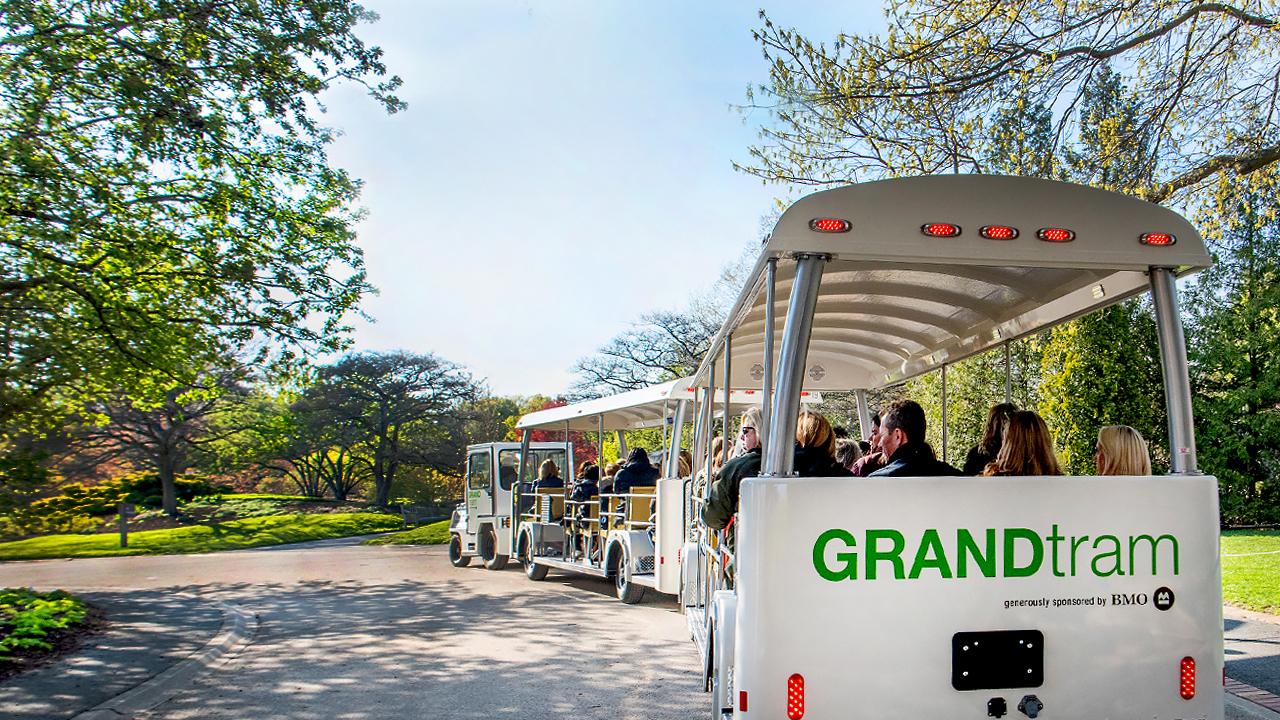 Grand Tram Tours