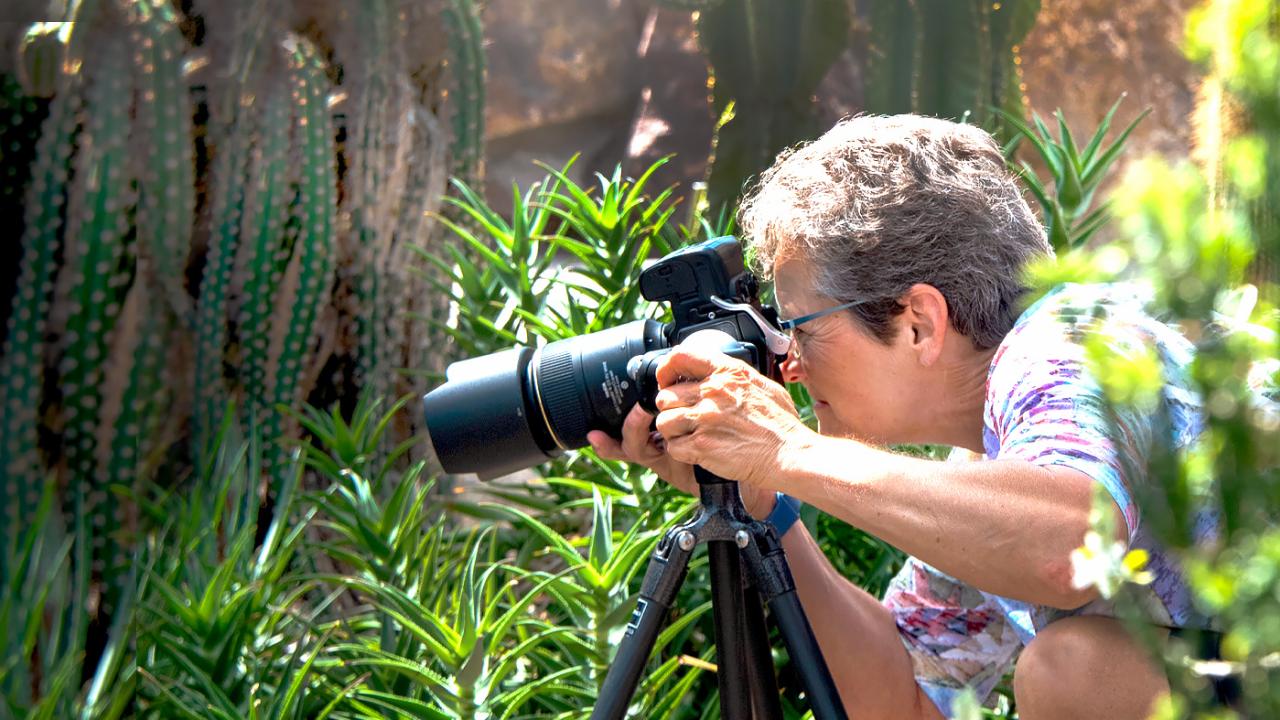 Photography Certificate Chicago Botanic Garden