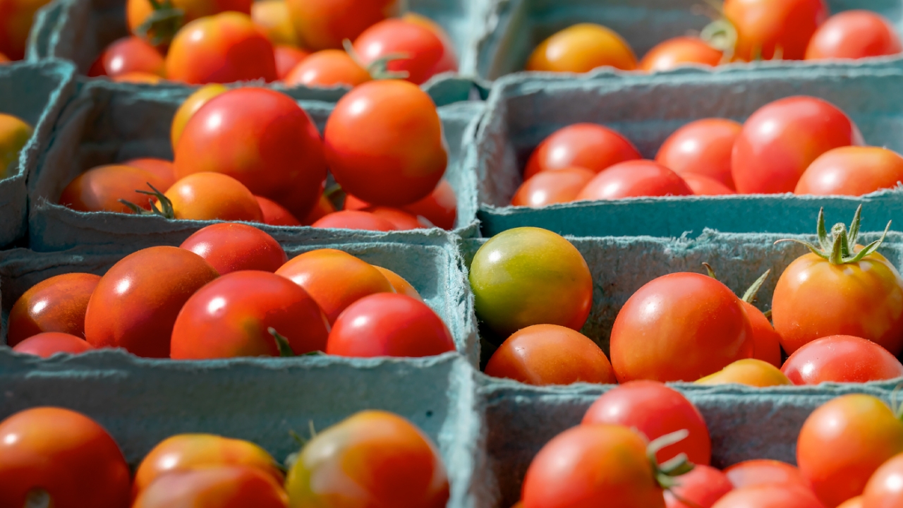 Windy City Harvest Markets – Tomatoes