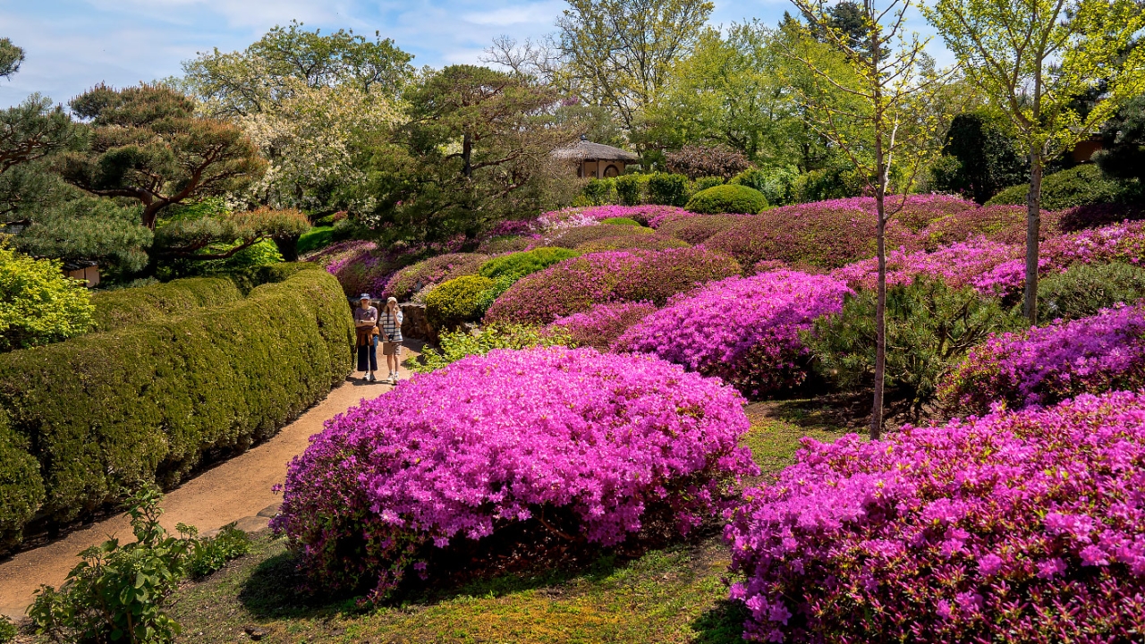 Walking at the Garden