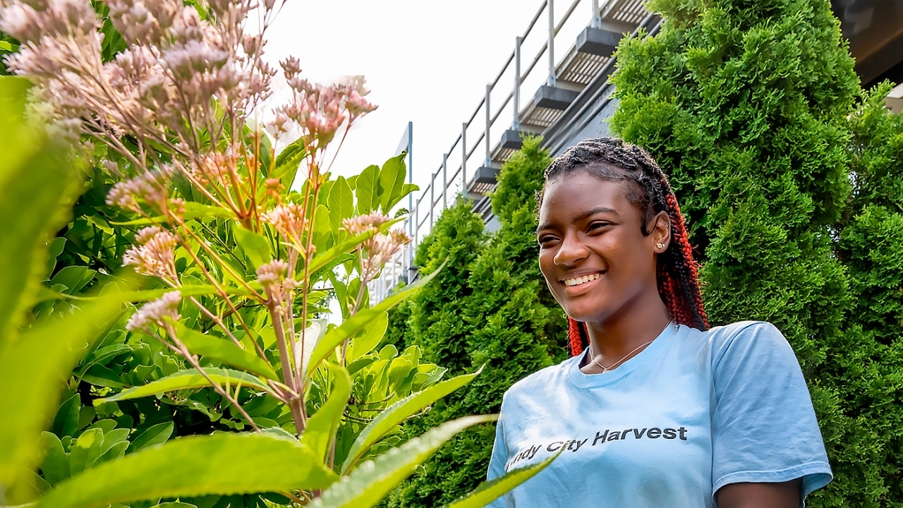urban agriculture harvest landing page