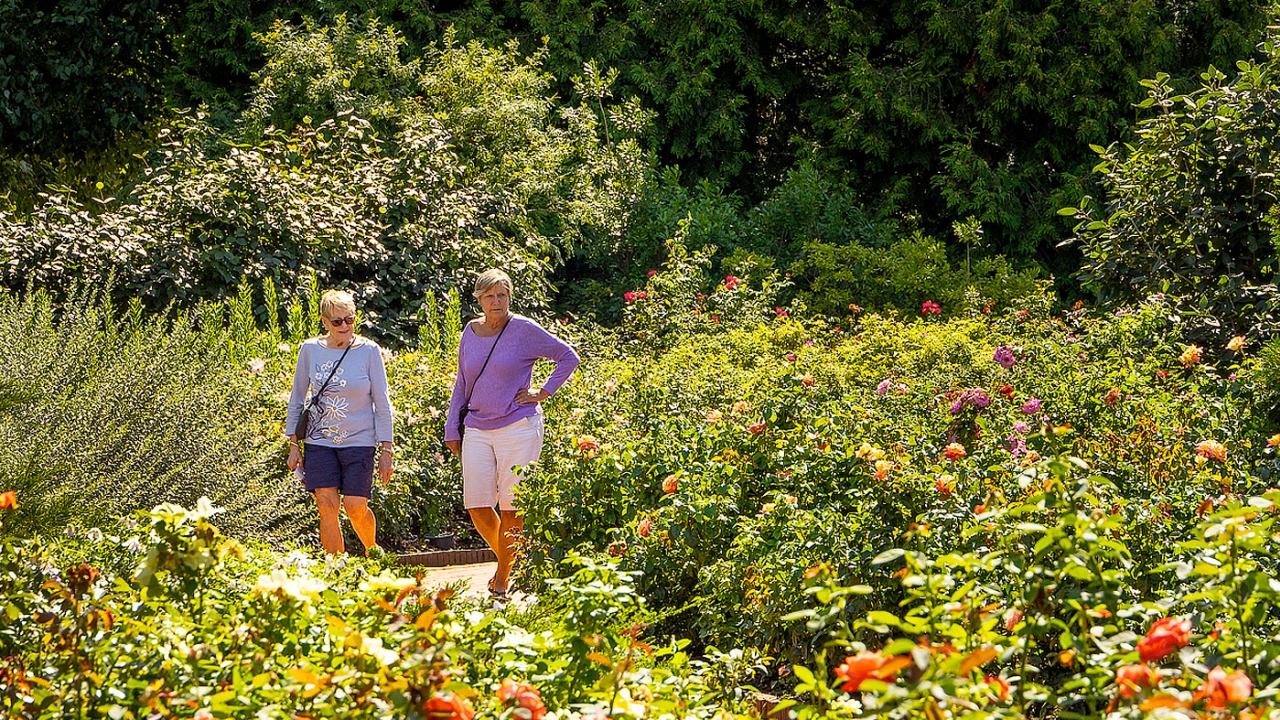 Early Fall Wows Walk