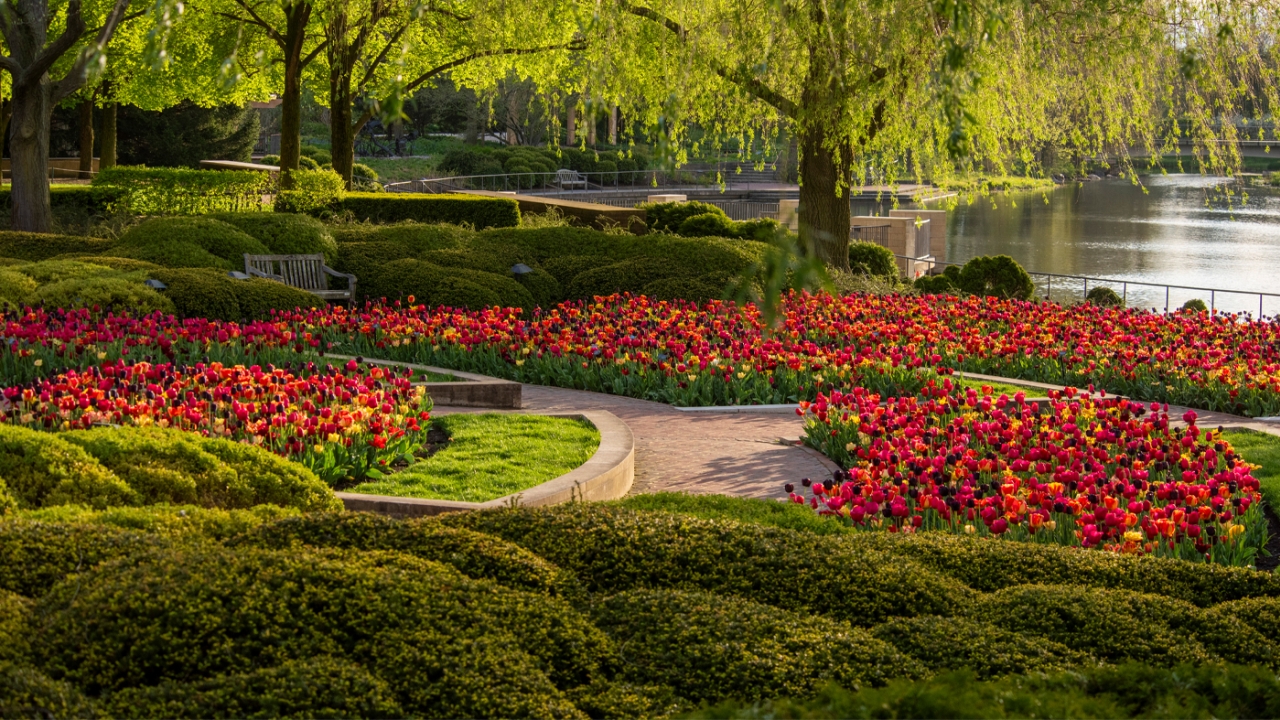 garden spring