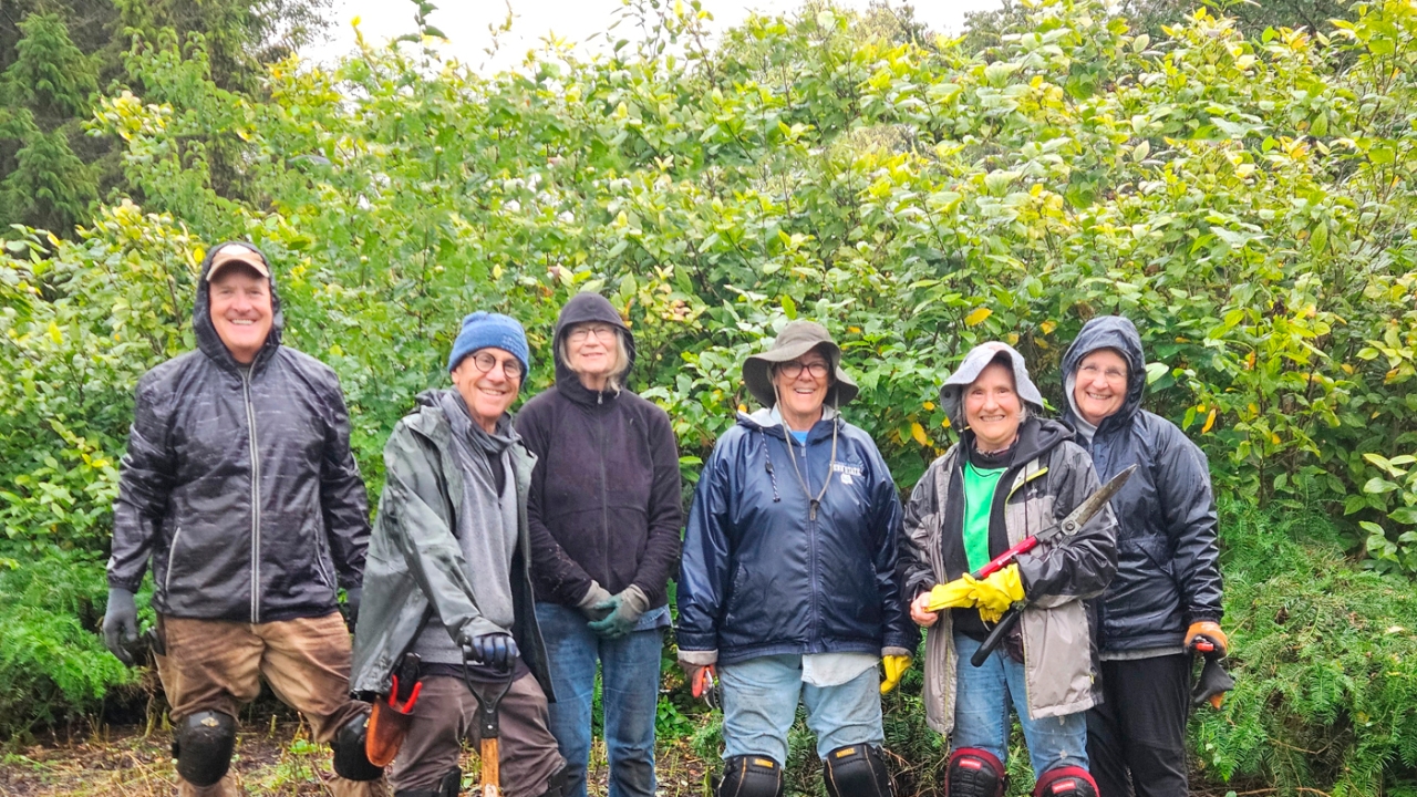 volunteers