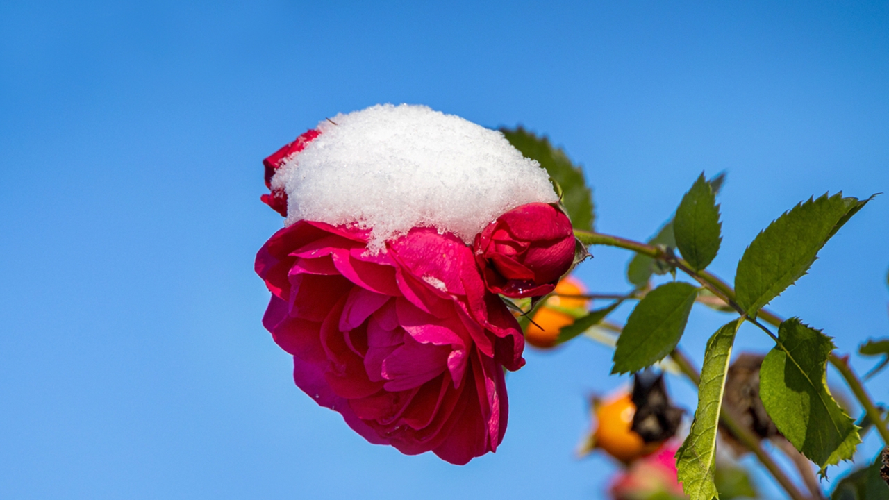 Weather Information