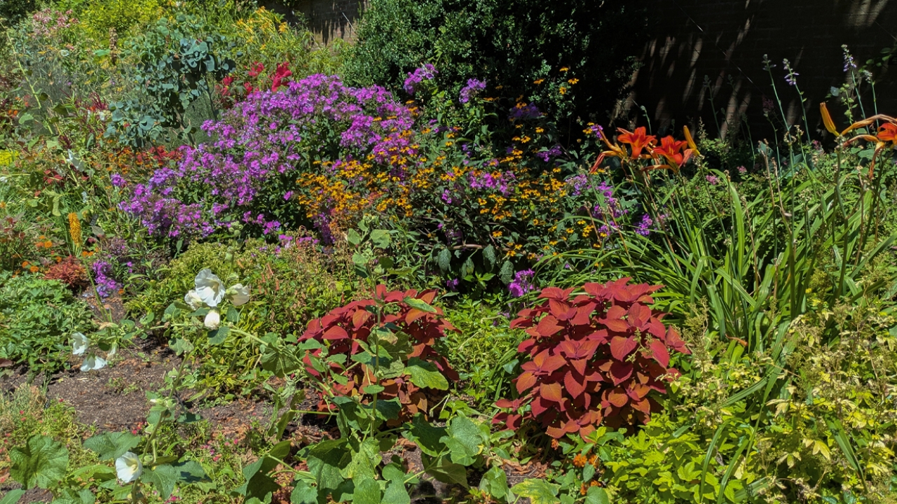 banner-mix plants