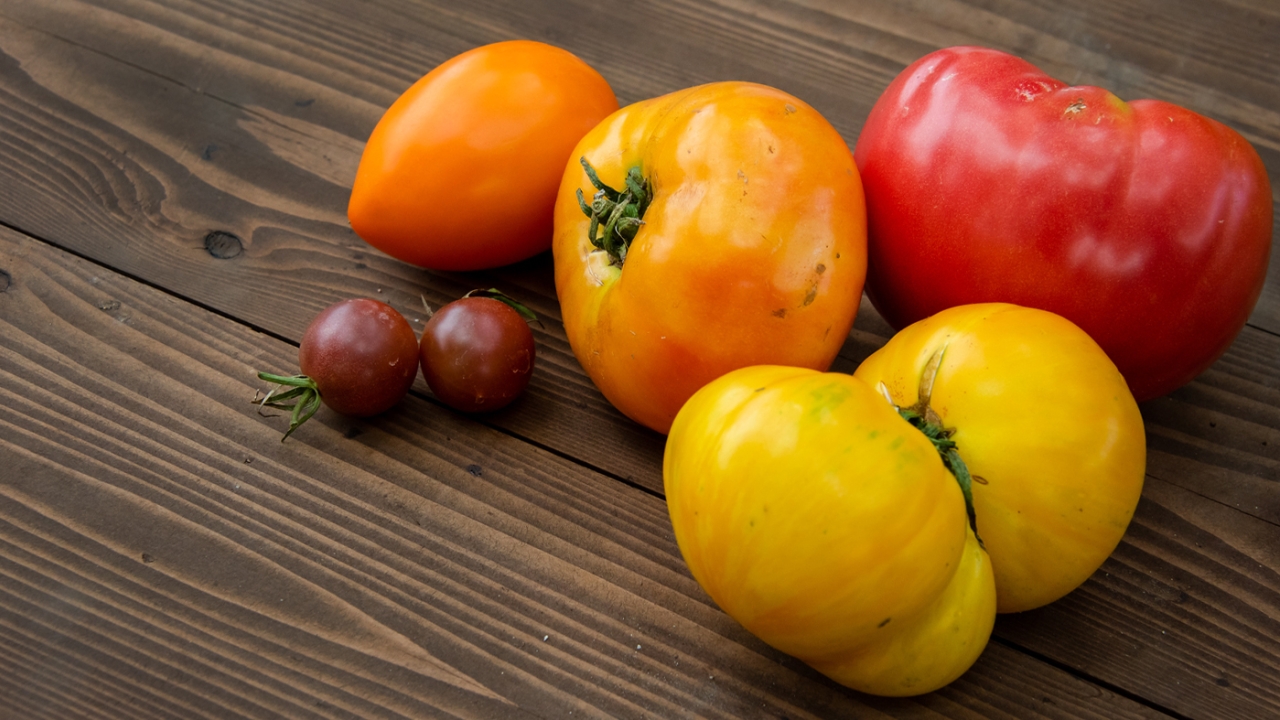 Heirloom Fest