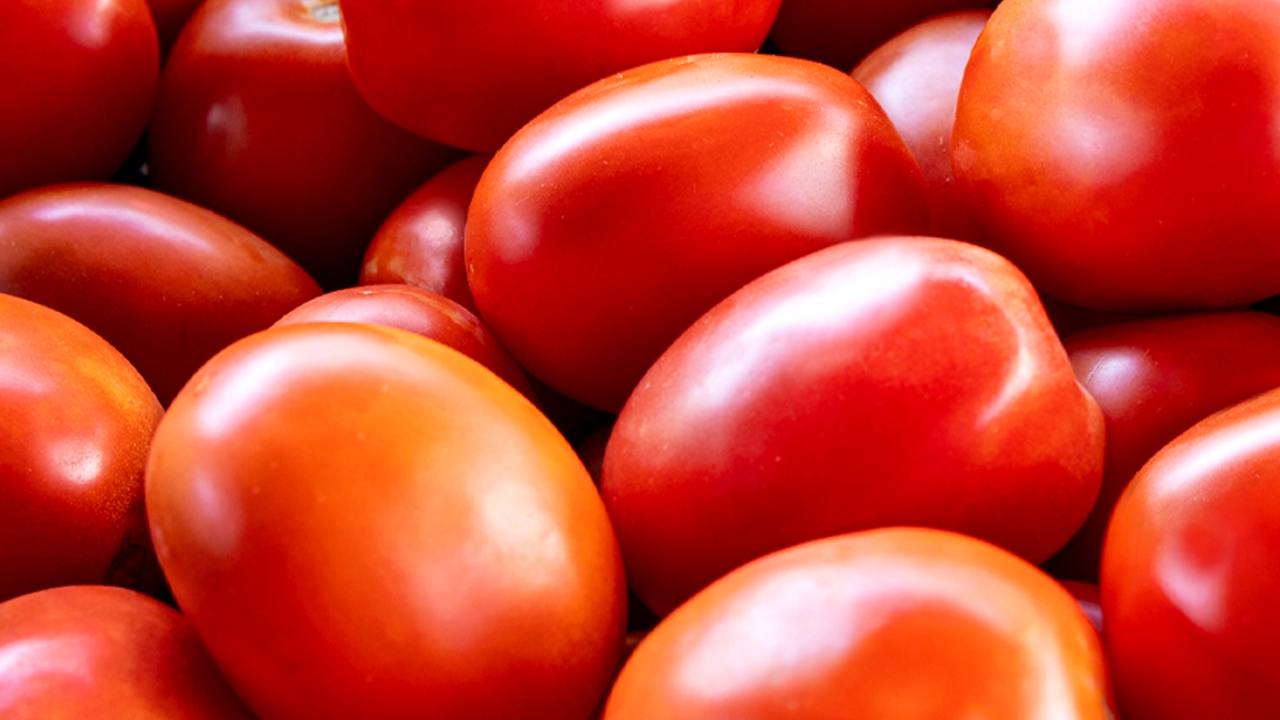 Heirloom Fest