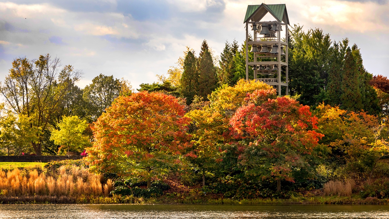 Fall Color at the Garden