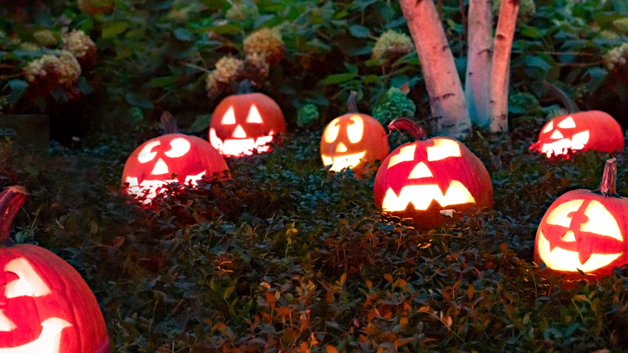 Night of 1,000 Jack-o'-Lanterns