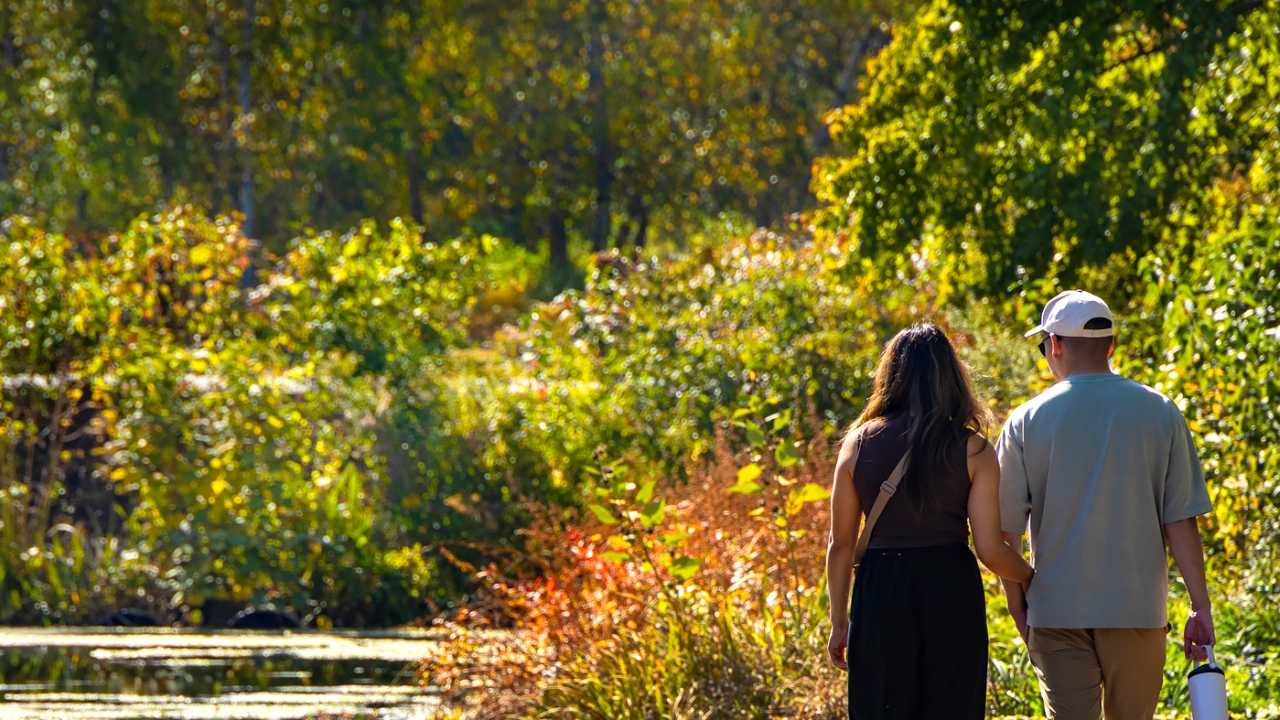 Explore Fall Beauty