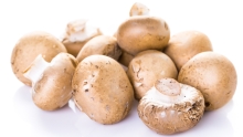 mushrooms-baby-bella