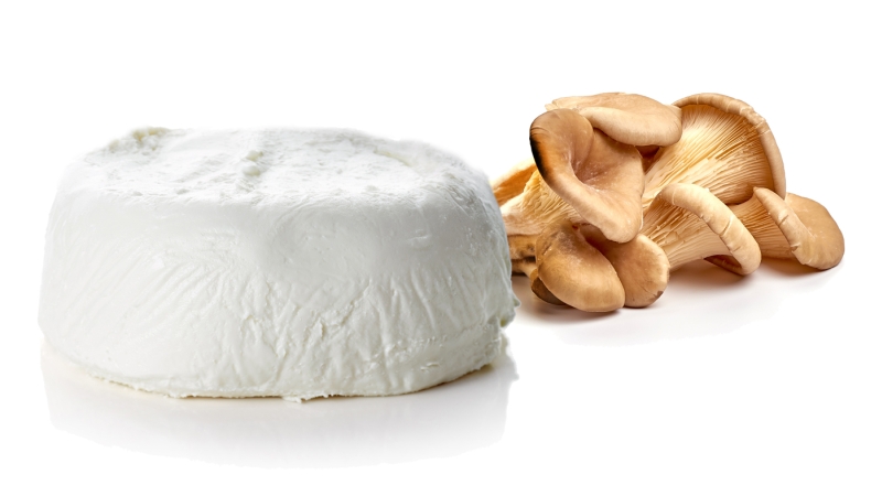goat cheese and mushrooms